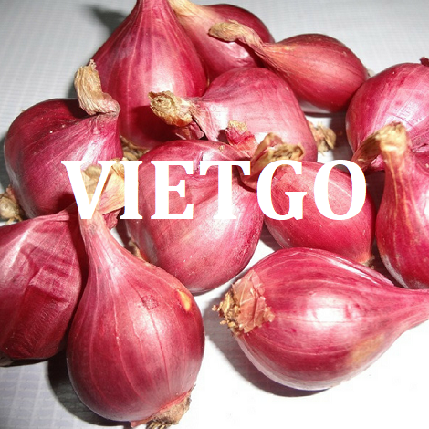 HÀNH TƯƠI  VIETGO